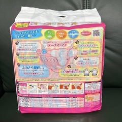 マナーウェアSSS 女の子用の画像