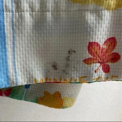 ディズニー　シングルかけ毛布&カーテンの画像