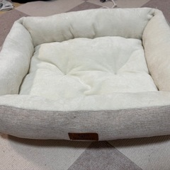 猫　ベッドの画像