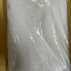 トゥルースイーパー　掛け布団　カバー付の画像