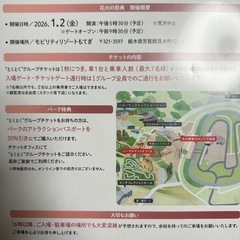 ツインリンクもてぎ　花火チケットの画像