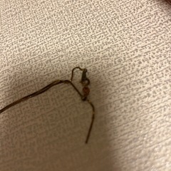 フェイクパールのネックレスとイヤリングの画像