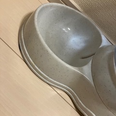 ネコの水飲みの画像