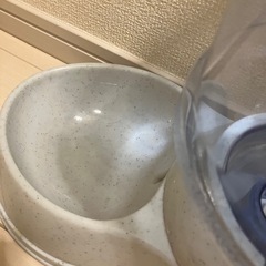 ネコの水飲みの画像