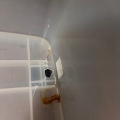 衣装ケース　衣装ボックスの画像