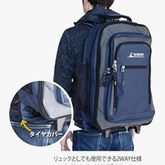 汚れあり　リュック型　キャリーケースの画像