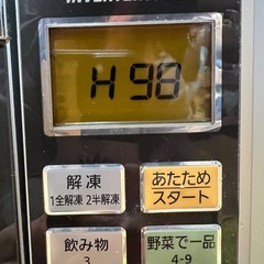 Panasonic  オーブンレンジ NE-M251（S）　
ジャンク品の画像