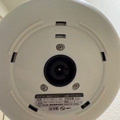 Tiger ケトル
の画像