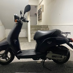 ホンダ トゥデイの画像