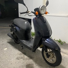 ホンダ トゥデイの画像