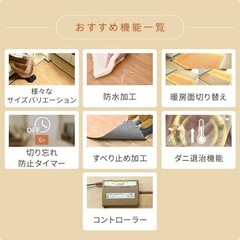 ホットカーペットの画像