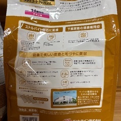 ドッグフードの画像