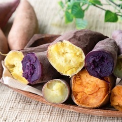 【決まりました】農家直売サツマイモ お徳用セット 約20本（品種いろいろ）  の画像