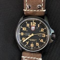 ルミノックスの画像