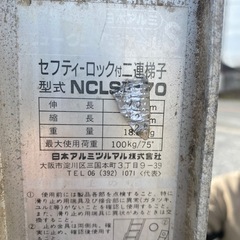 4.7m梯子🪜の画像