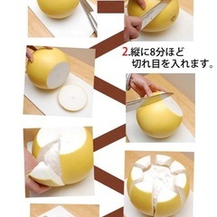 世界一でかい柑橘　晩白柚の画像