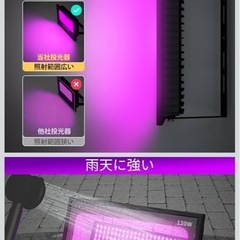 L E Dブラックライトの画像