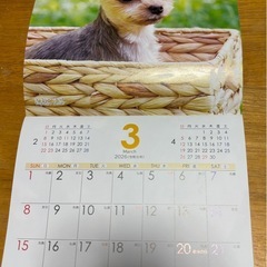 🐶2026 dog カレンダー🐶の画像
