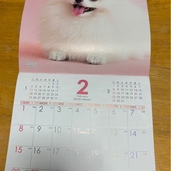 🐶2026 dog カレンダー🐶の画像