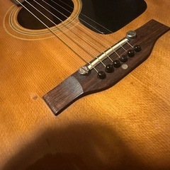 ARIA アコースティックギター F 120の画像