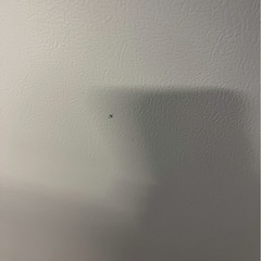 【6ヶ月保証】三菱電機 3ドア冷蔵庫 MR-CX27D-W 2019年製272L 右開きの画像