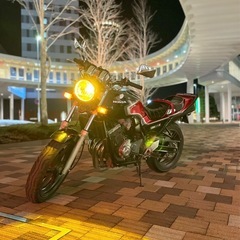 ジェイド250 HONDA MC23 JADE250 250CCの画像