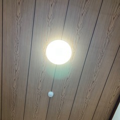 シーリングライト の画像