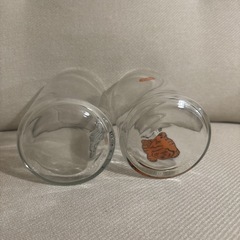 ムジクタイガーグラスの画像