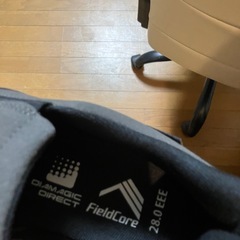 雨　対応靴の画像