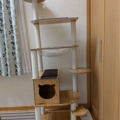 キャットタワーの画像