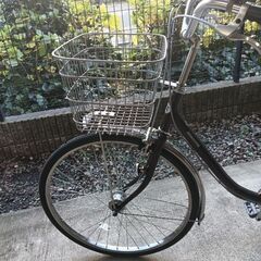 ブリジストン自転車プロムナード [内装3段/26インチ] PU63T5の画像