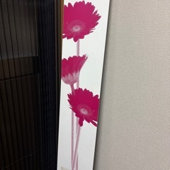 すがたみ姿見の画像