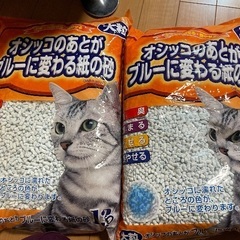 猫砂の画像