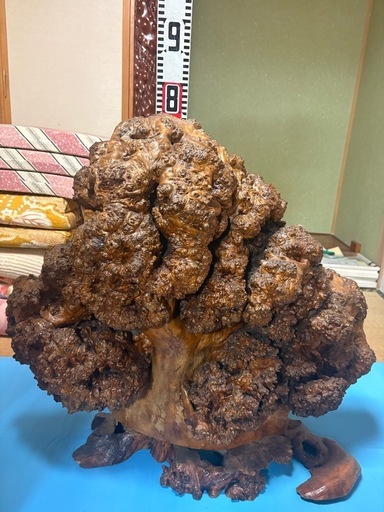 木のコブ