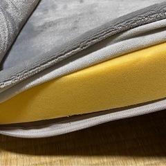 ペット用ベッド　低反発　ベルベッドのような生地で、カバーは洗えます　犬　猫の画像