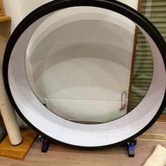 猫用エクササイズホイール　One fast cat アメリカ製の画像