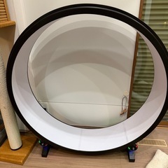 猫用エクササイズホイール　One fast cat アメリカ製の画像