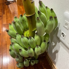 アップルバナナの画像