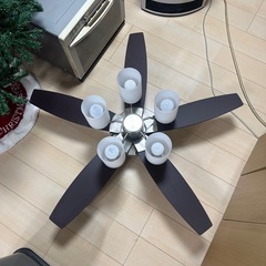 シーリングファンライト (少難あり)の画像