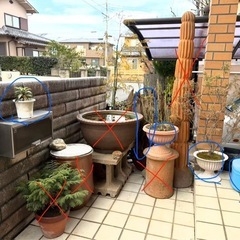 素焼き？の置物と鉢植え(青丸🔵の物だけ)の画像