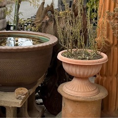 素焼き？の置物と鉢植え(青丸🔵の物だけ)の画像