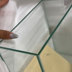 ベタ　水槽の画像