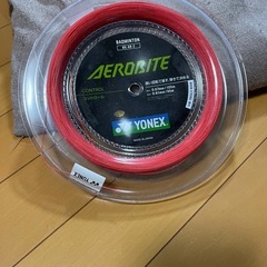 バドミントン　エアロバイトの画像