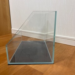 テラリウム水槽
の画像