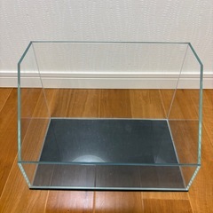テラリウム水槽
の画像
