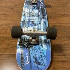 CARVER カーバー cx4 VENICE ベニス 中古スケートボード 36インチの画像