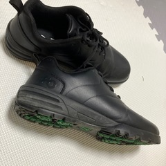 まだまだ綺麗　ゴルフシューズ‼️の画像