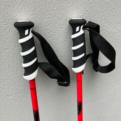 スキーストック　８０００円の画像