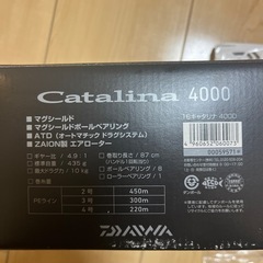 キャタリナ4000番超美品の画像