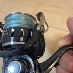 キャタリナ4000番超美品の画像